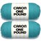 Caron One Pound Aqua Yarn - 2 Pack of 454g/16oz - Acrylic - 4 Medium (Worsted) - 812 Yards - Knitting/Crochet